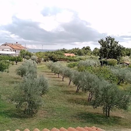 Apartma Barizoni Ankaran Buitenkant foto