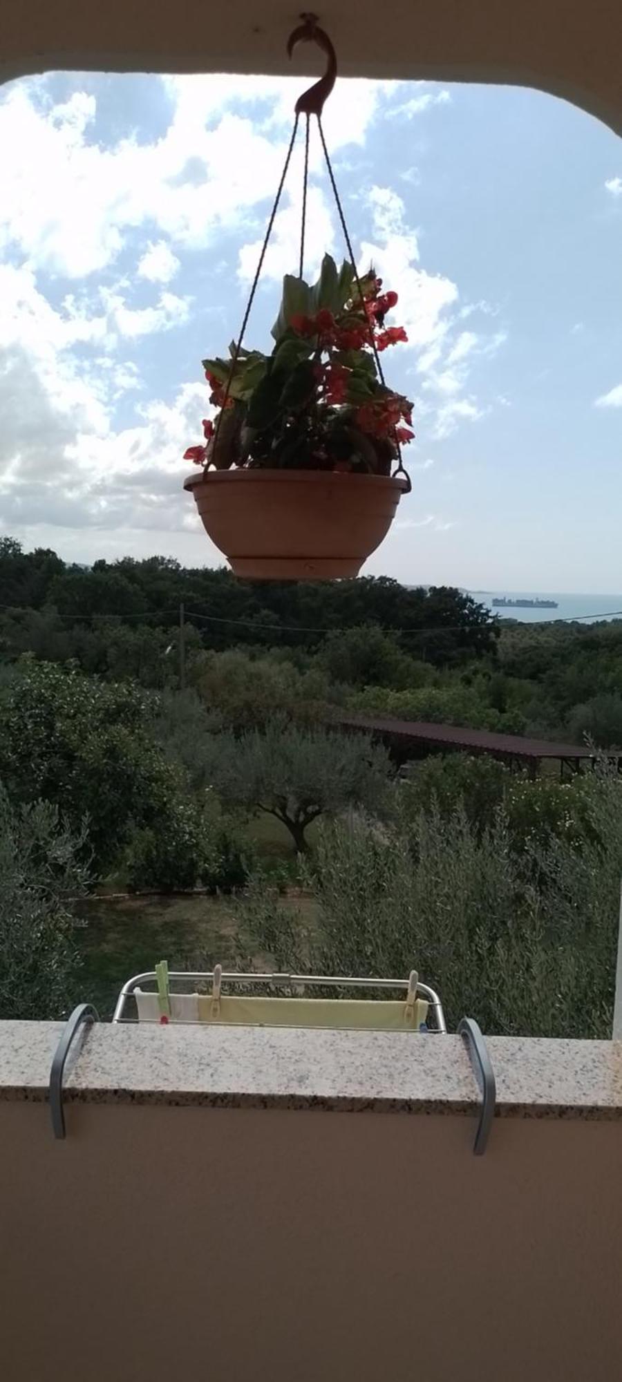 Apartma Barizoni Ankaran Buitenkant foto